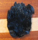 Hen neck black Keough Orvis
